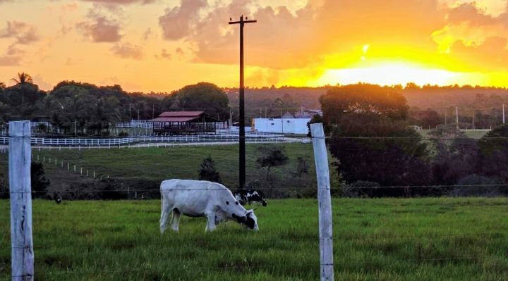 Ch�cara - Venda - Ipioca - Macei� - AL